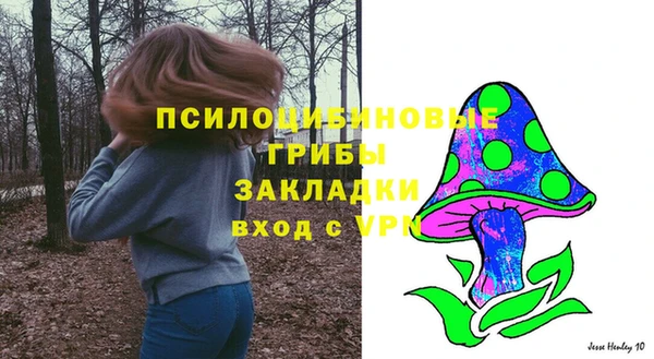 mdpv Вяземский