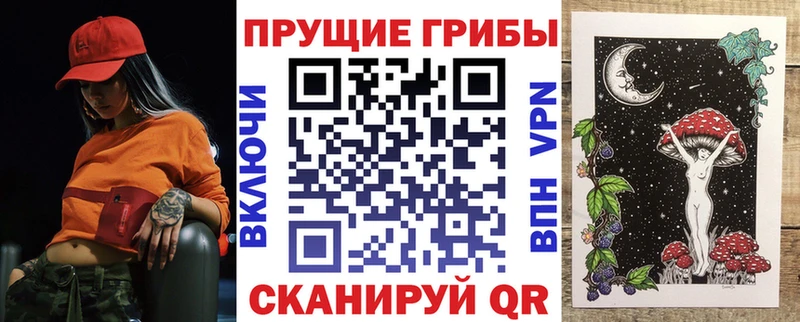 Псилоцибиновые грибы Psilocybine cubensis  Луга 